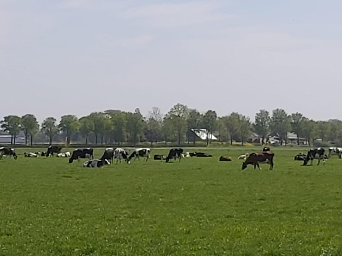 Luxe Gastenverblijf In Het Hart Van Friesland Akkrum Exteriör bild